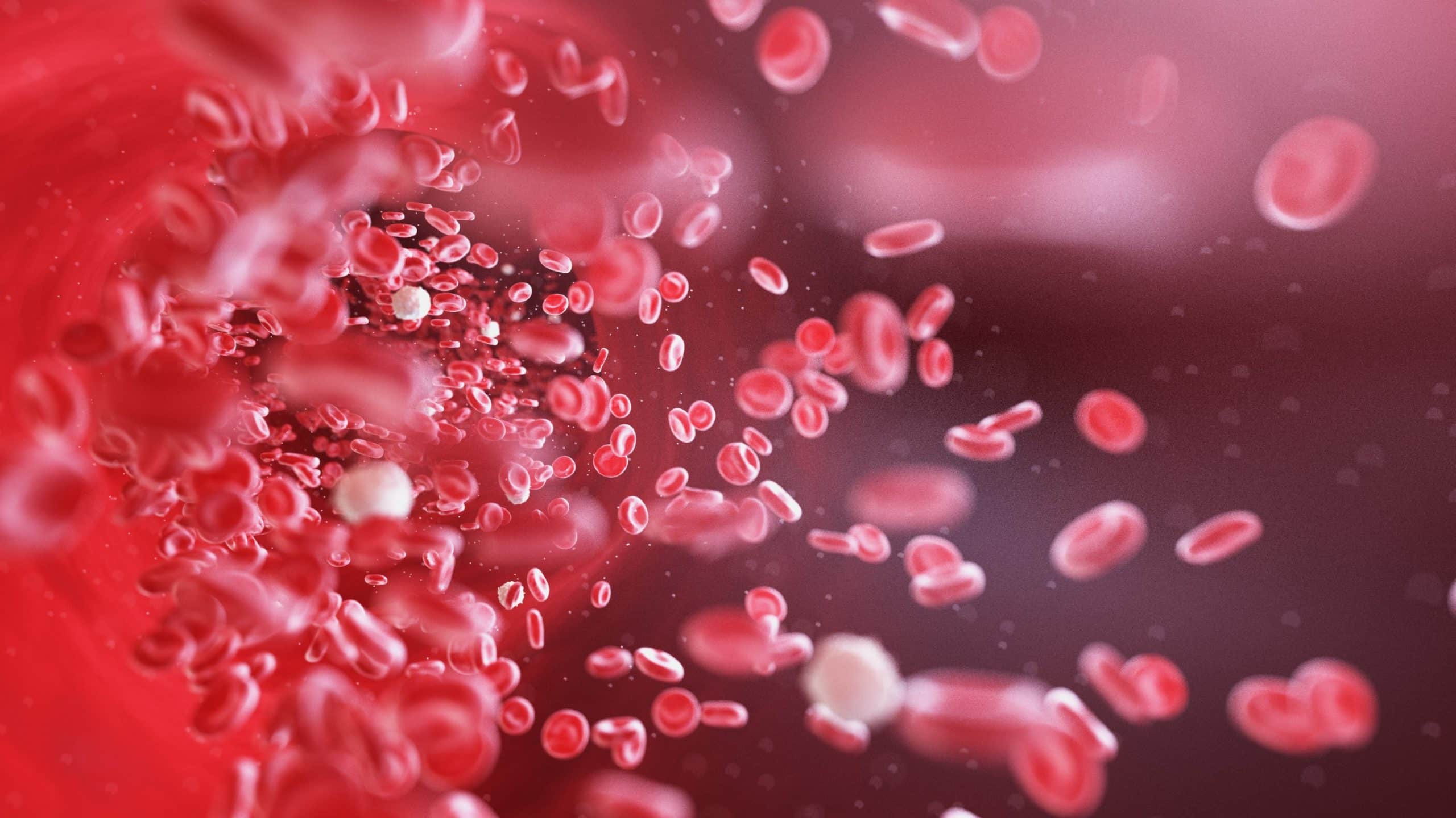 Combien de temps pour remonter hemoglobine