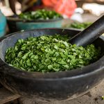 ma Sylvestre Pour Maigrir - ma Sylvestre Pour Maigrir - ma Sylvestre Pour Maigrir