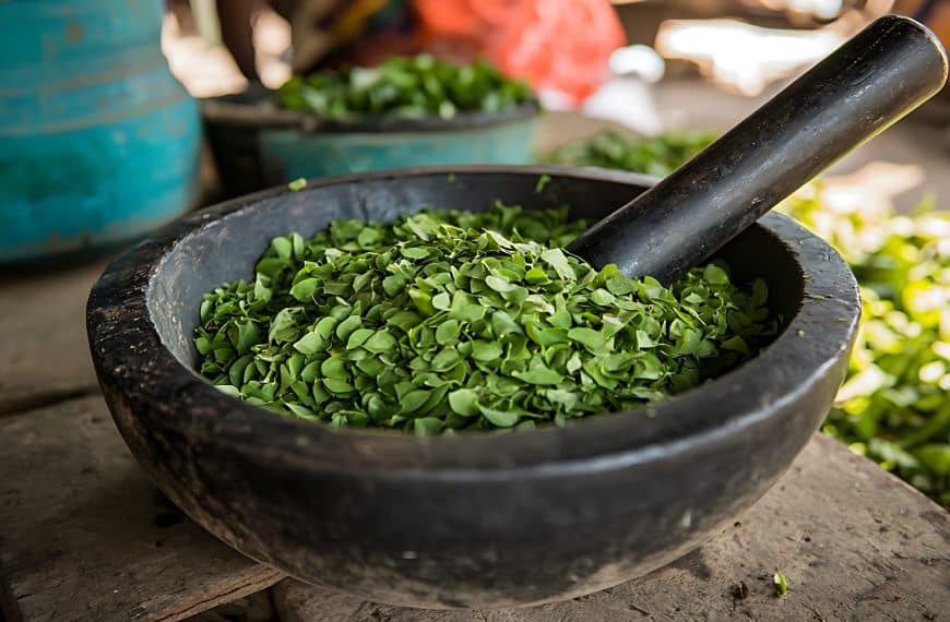 ma Sylvestre Pour Maigrir - ma Sylvestre Pour Maigrir - ma Sylvestre Pour Maigrir